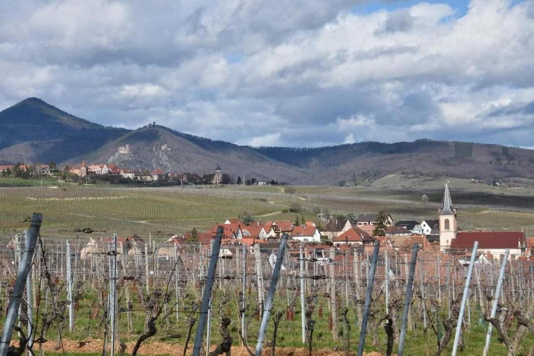 Gites Marschall Jean-Pierre Beblenheim Dış mekan fotoğraf